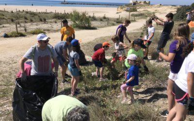 Recollida de residus i microplàstics a la platja de la Móra el 17 de setembre