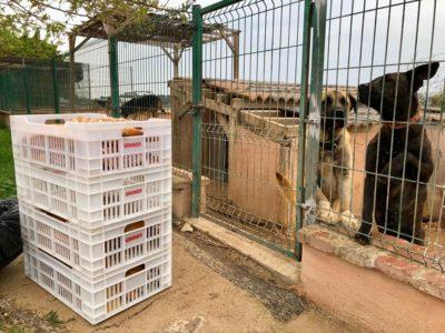 Veïns de Torredembarra s’organitzen formant una xarxa de suport davant del Covid-19