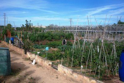 Obert el procés per obtenir temporalment horts ecològics per conrear a Cal Dània destinats a la gent gran