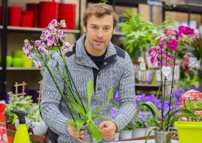 Carta de queixa d’un florista per Sant Jordi