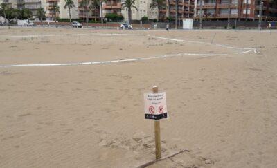 Es reforça la senyalització de la zona de nidificació del corriol camanegre a la platja de la Paella