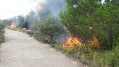 Cremen 3.000 m2 de vegetació al terme municipal de la Pobla de Montornès