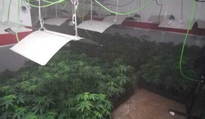 S’incendia un habitatges a Clarà i la Policia Local hi descobreix una plantació de marihuana