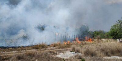 Un incendi crema dues hectàrees de vegetació a la zona dels Caus de Torredembarra