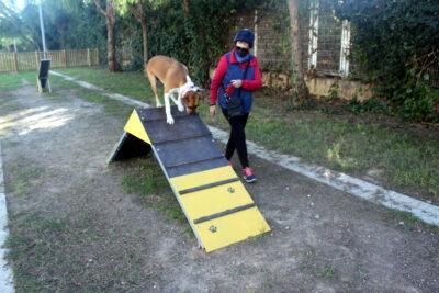 Altafulla disposa de dos nous parcs de socialització per a gossos als carrers dels Caus i del Vinyet