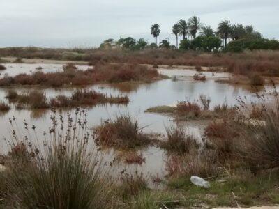 La CUP adverteix que el projecte del camí del Ferrocarril posa en perill l’Espai Natural del Gorg de Creixell