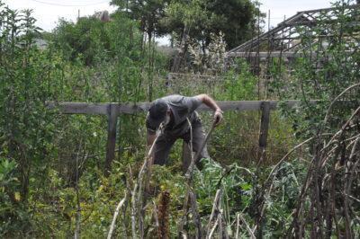 Cal Dània s’obre a l’ús social dels horts ecològics a través d’entitats del tercer sector