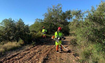 Un pla d’ocupació impulsat per la Diputació millora entorns naturals de l’interior del Baix Gaià