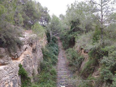 ANÀLISI l A voltes amb la línia ferroviària Reus-Roda