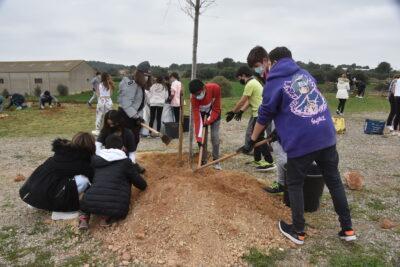 Els alumnes de secundària dels instituts de Torredembarra celebren la Festa de l’Arbre