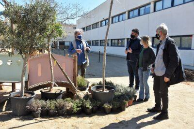 Més vegetació autòctona a l’Escola l’Antina per lluitar contra el canvi climàtic