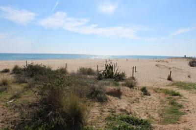 Jornada de recollida de residus a la platja del Gorg de Creixell el 8 de maig dins el ‘Let’s Clean Up Europe!’