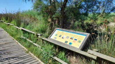 Denuncien sis persones per accedir a l’Espai d’Interès Natural de les platges de Torredembarra i Creixell