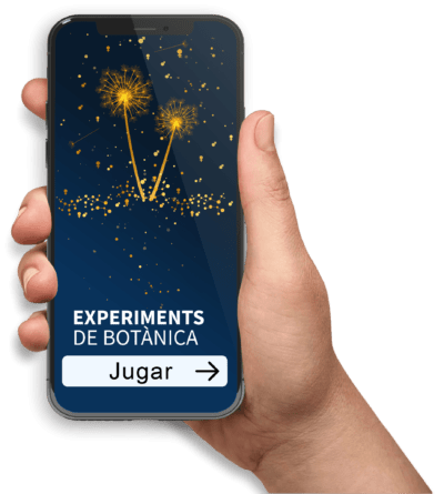 Altafulla recupera els experiments de botànica del científic Martí i Franquès en una Gymkana Digital