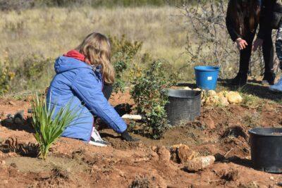 Torredembarra celebra quatre anys de Festa de l’Arbre