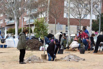 Torna el 25 de novembre la Festa de l’Arbre a la Torre amb una plantada oberta a la ciutadania