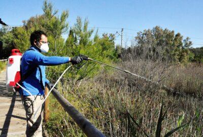 Torredembarra inicia el tractament contra les larves de mosquits