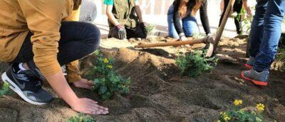 Torredembarra celebra la Festa de l’Arbre amb alumnes de secundària i amb una plantada oberta a la ciutadania