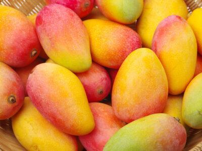 El mango: propietats