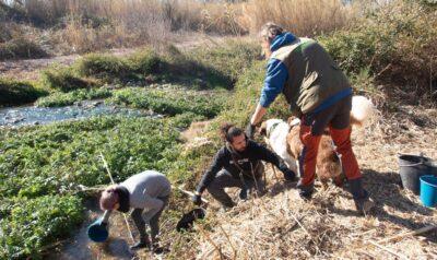 La Sínia celebra el seu 25è aniversari amb una jornada d’activitats el 14 de maig