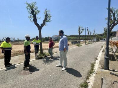 Arranjament de diferents carrers del barri de la Barquera de Roda de Berà