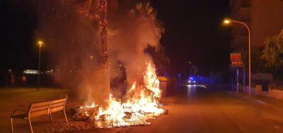 Dos contenidors i una palmera cremen de matinada a Torredembarra