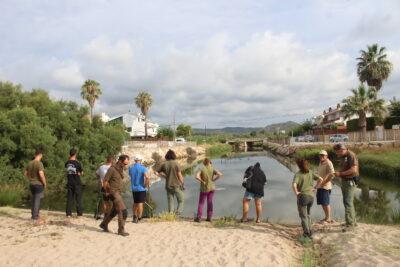 La manca d’oxigen a l’aigua provoca la mort de peixos a la riera de la Murtra de Creixell