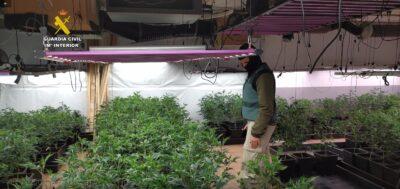 Desarticulada una organització criminal dedicada al cultiu indoor de marihuana que operava al  Baix Gaià