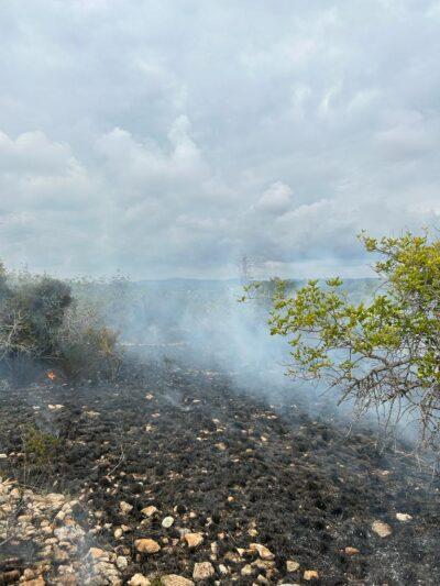 Cremen 3.500 metres quadrats a la zona dels Caus per dos incendis provocats