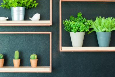 Avantatges de decorar amb plantes artificials