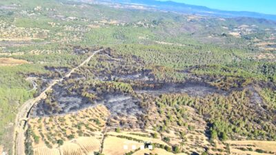 Una línia elèctrica, hipòtesi de l’origen del foc de Vespella i la Nou de Gaià, que ha cremat 40 hectàrees