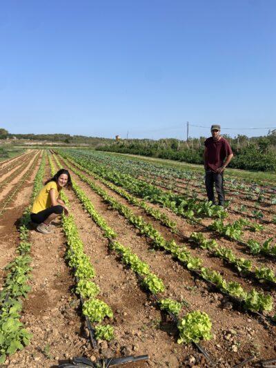 PAGESOS DE LES TERRES DEL GAIÀ l La Trapella: agroecologia i biodiversitat des de La Nou de Gaià