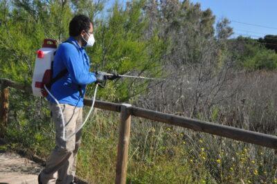 Campanya informativa sobre el control de plagues de mosquits, rosegadors i paneroles