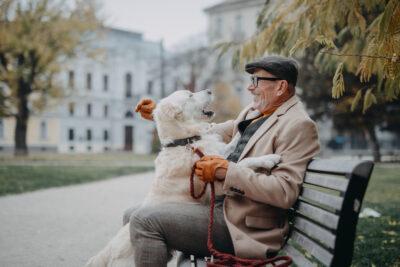 Tenir una mascota: beneficis per a la gent gran