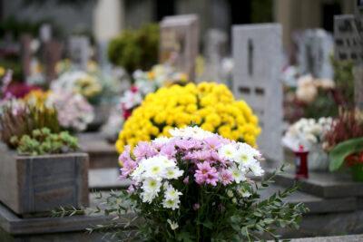 D’on ve la tradició de portar flors als cementiris el dia dels morts