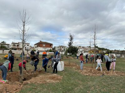 Una quarantena de persones participen a la plantada popular de la Festa de l’Arbre