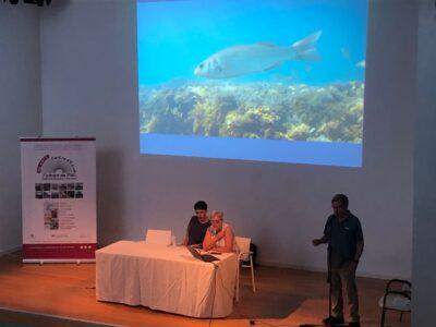 El Taller d’observació de peixos del Centre d’Estudis Sinibald de Mas arriba a la 18a edició
