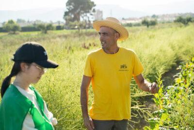 Torredembarra du a terme aquest dilluns una prova pilot per aprofitar els fruits dels arbres dels espais públics