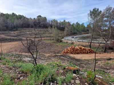 La Generalitat supervisa la retirada de fusta cremada a la zona afectada per l’incendi forestal de la Nou de Gaià