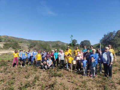 Planten arbres i es pengen cases niu a Vespella de Gaià