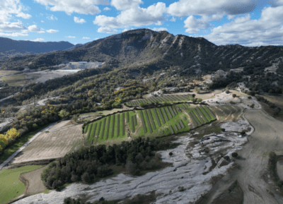 Projecten un parc solar fotovoltaic de 7,6 hectàrees al Catllar