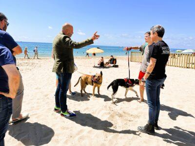 Torredembarra ja té platja per a gossos després d’una inversió de 15.000 euros