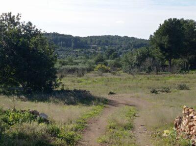 Voluntaris penjaran cartells contra el càmping de la Riera aquest 25 de gener