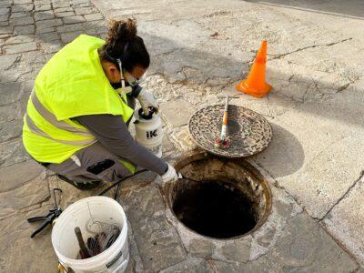 Campanya informativa per a la prevenció de plagues aquest estiu