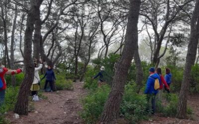 L’Hort de la Sínia programa quatre sortides aquesta tardor per conèixer la flora i la fauna d’Altafulla