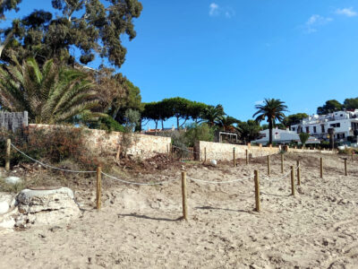 Nova acció per recuperar les dunes del Fortí d’Altafulla dins la 17a edició de ‘Viu la platja!’