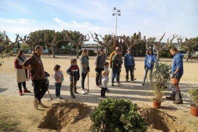 Més d’un centenar d’exemplars plantats durant la Festa de l’Arbre 2025