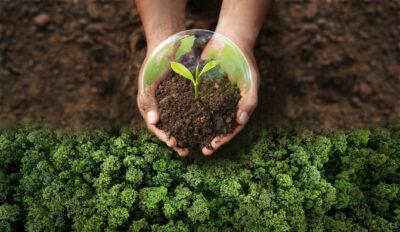 Petites accions quotidianes que redueixen l’impacte ambiental