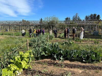 Es torna a aprovar el projecte de rehabilitació dels Horts de Cal Dània
