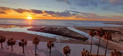 Els altres ‘hierbajos’ de la platja de la Paella